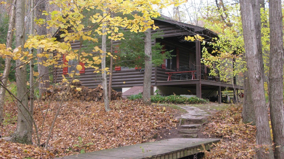 Beach Lake Cabin | Experience Delaware Riverfront cabin nestled in the woods, Pet/Family Friendly