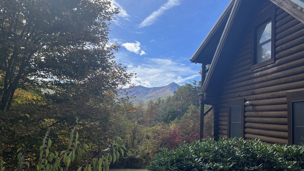 Candler Cabin | Experience nature’s splendor at a pet-friendly cabin 20 minutes from Asheville.
