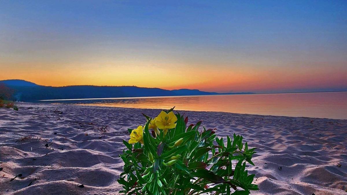 Bete Grise House | *Experience Relaxation at our Lakeside Retreat and First-Class Ski Resort*