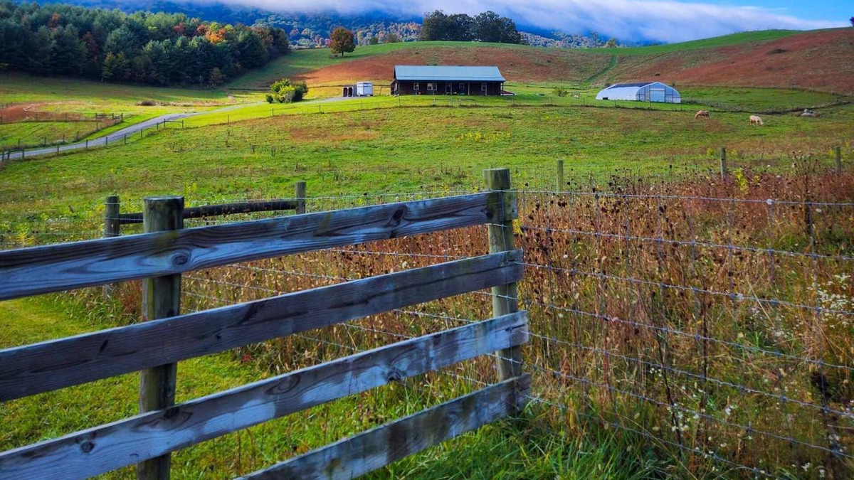 Craig Creek House | Explore Appalachia!!
