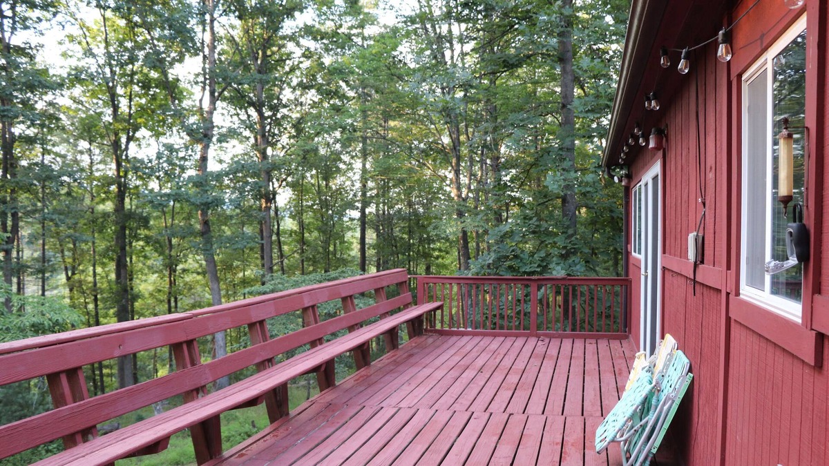 Broadway Cabin | Extensive book libary and place to disconnect!
