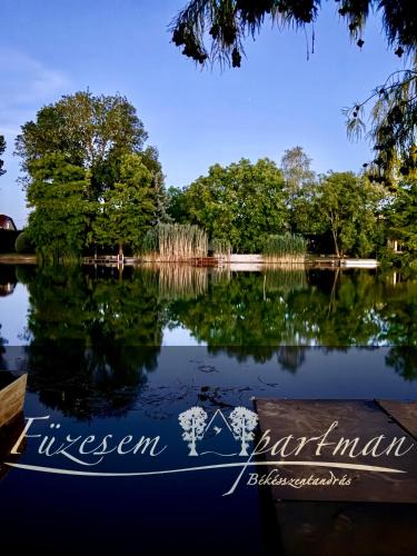 Bekesszentandras Apartment | Füzesem Apartman