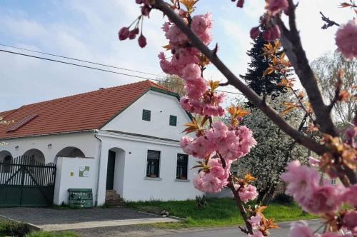 Mihalyfa House | Fűszeres Porta
