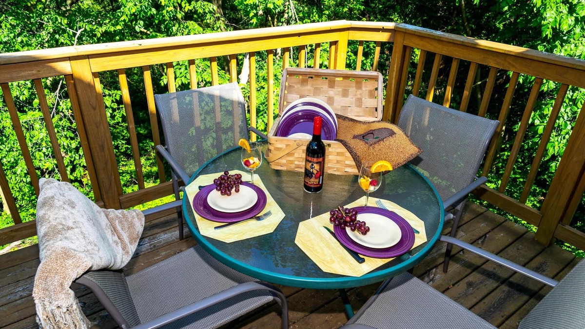 The Galena Territory House | Fab Screened Porch, Bright and Spacious, Enjoy Nature and Wildlife from the Deck