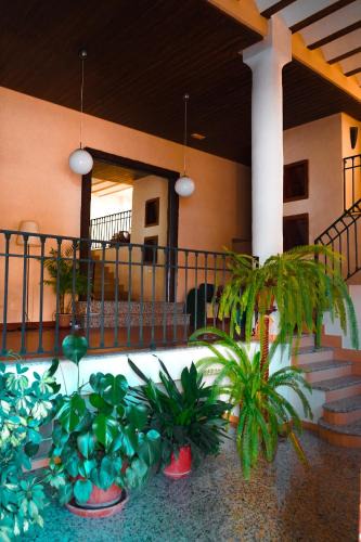 Las Ventas con Pena Aguilera House | Fabrica de Harina