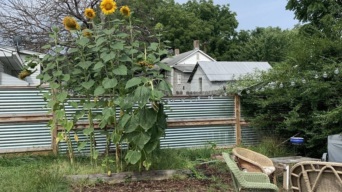 Roanoke RV Rental | Fabulous private backyard, minutes away from downtown and greenway