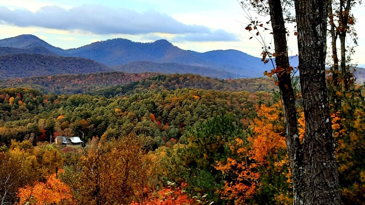 Mineral Bluff Cabin | Fabulous Tri-State view 3/3, pool table, ping-pong ,Wi-Fin4 tv.ntr trail creek