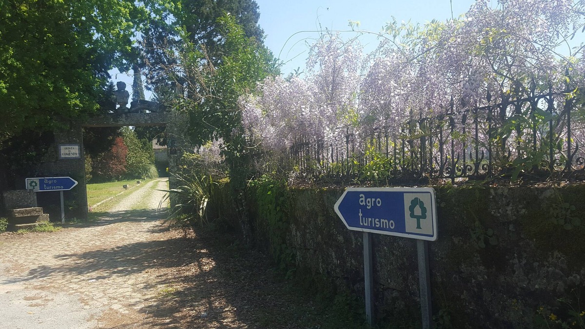 Sao Pedro do Sul Bed & Breakfast | Fabulouse Quinta da Comenda - Double Room