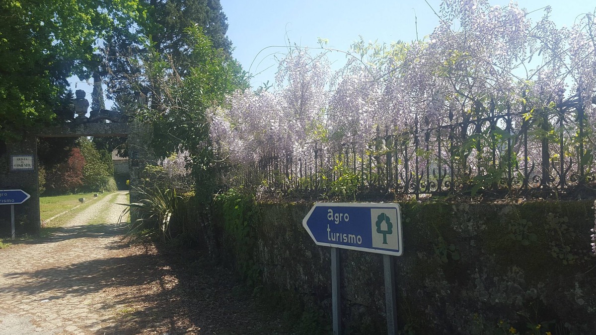 Sao Pedro do Sul Bed & Breakfast | Fabulouse Quinta da Comenda - Double Room