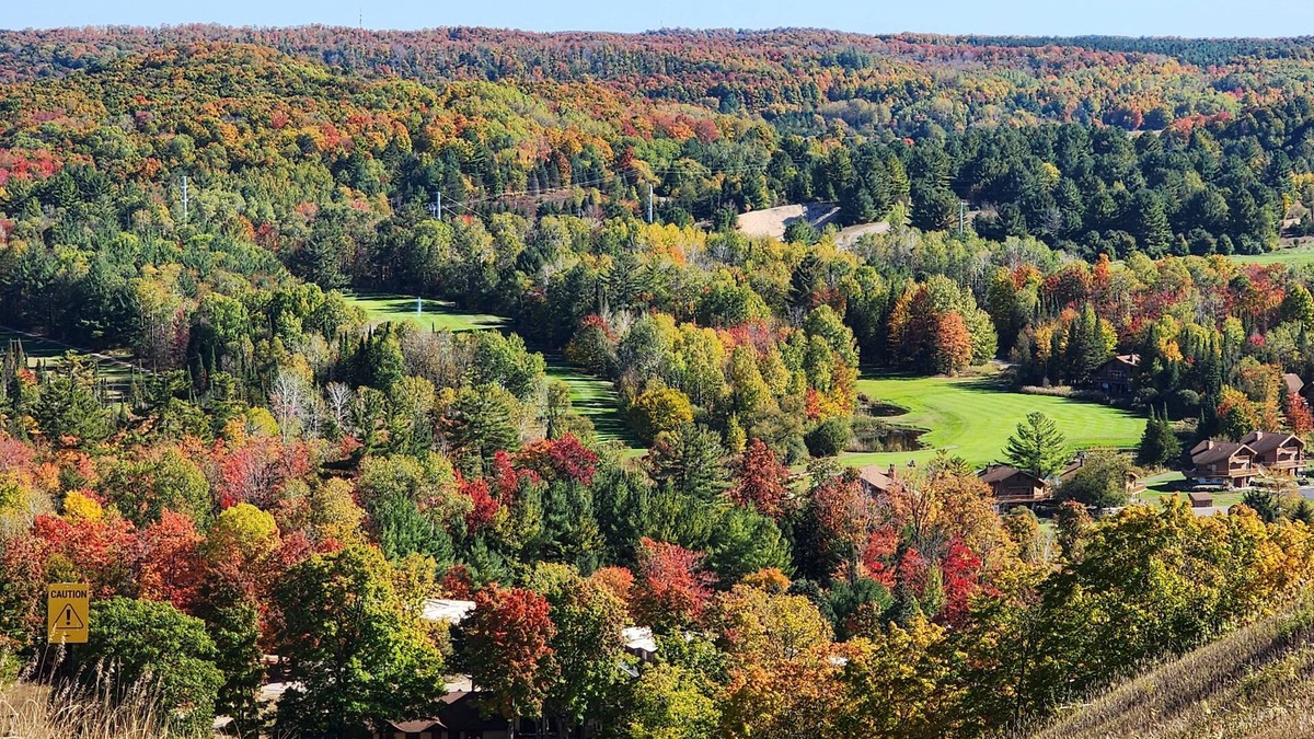 Bellaire Condo | Fall colors galore! 2 bedroom, 2 bath condo at Cedar River!