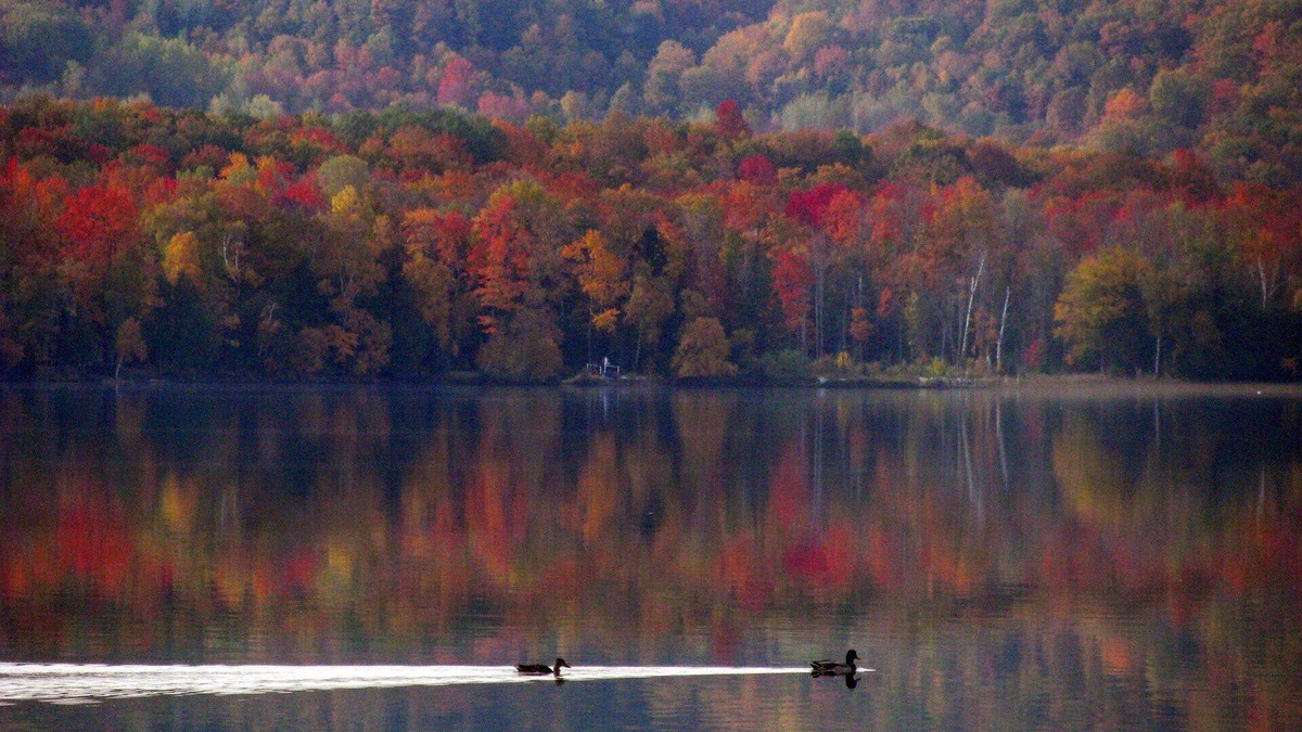 Alanson Cottage | Fall Foliage & Golf Getaway on Pickerel Lake – Cozy Lakeside Cottage Retreat