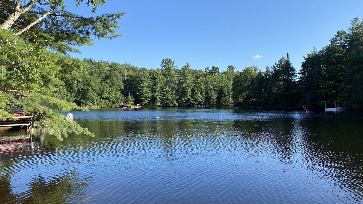 Huntsville Cottage | Fall Promo - 1 Free Night | Family friendly|Access to 3 Lakes w/Dock&FirePit
