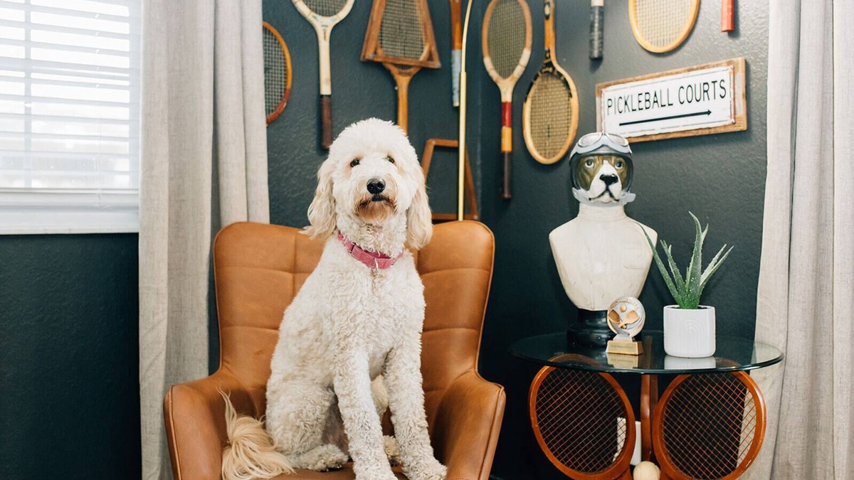 Riverside Heights House | Fall Special! Pets & Pickleball! Private Pickleball court! Pets Welcome