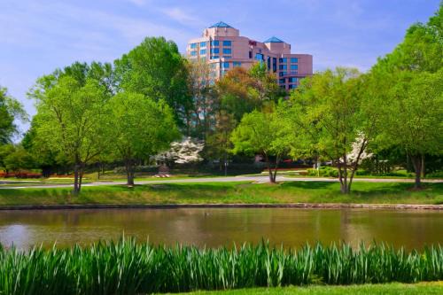 Falls Church Hotel | Falls Church Marriott Fairview Park