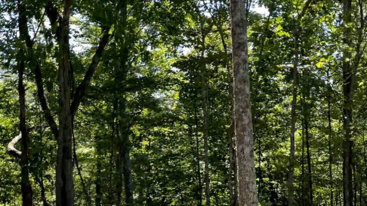 Louisa RV Rental | Fallsburg Frontier Campground Site #4