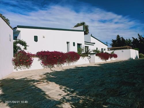 Conil de la Frontera Ski Chalet | Falsa Pimienta - Sólo Familias y Parejas