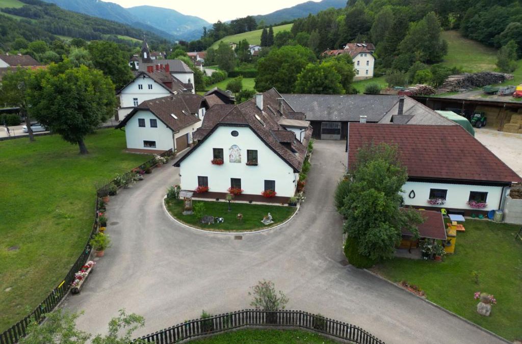 Reichenau an der Rax House | Familie Stoier