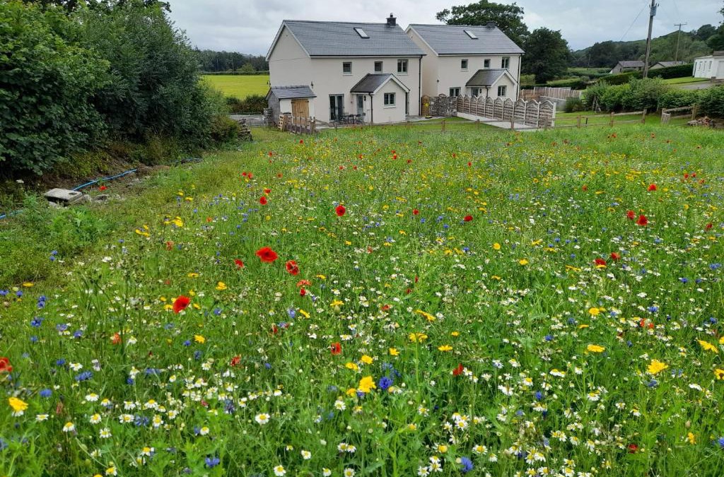 Llandovery House | Family Country Cottage with Stunning Mountain Views