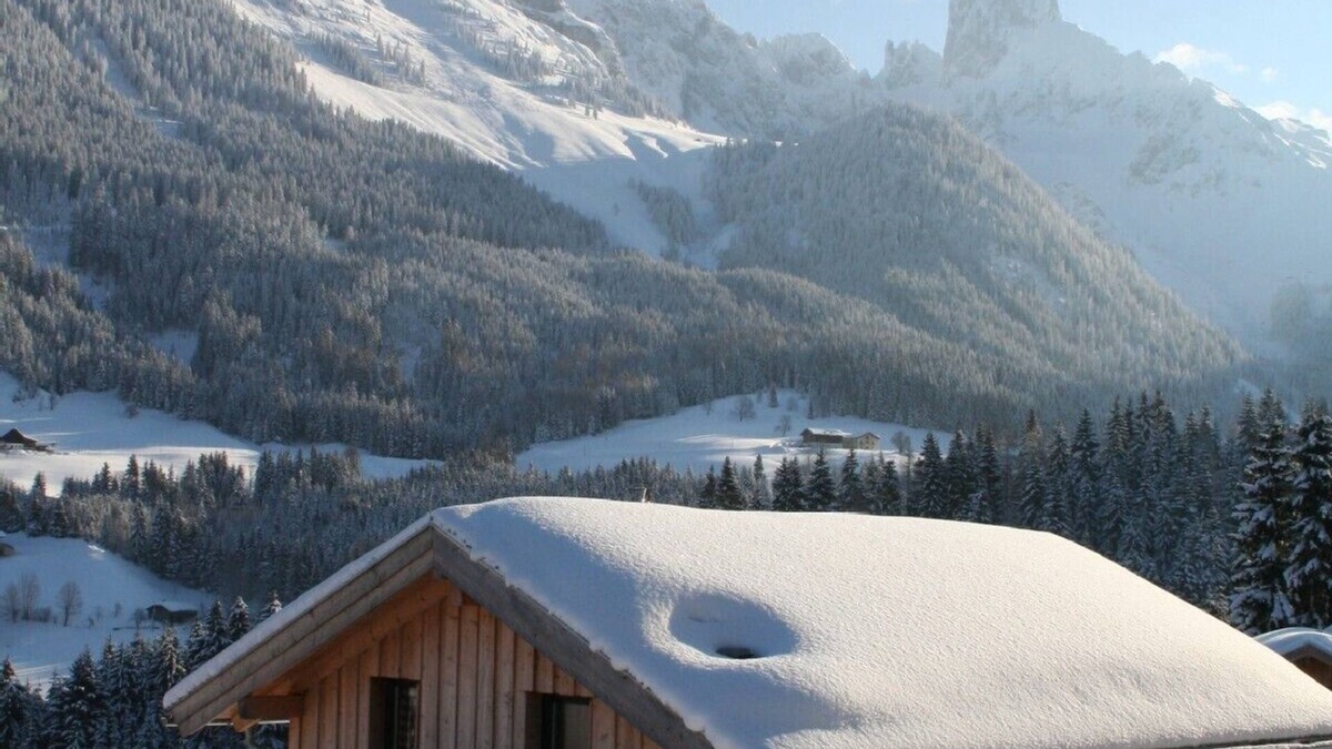 Annaberg im Lammertal House | family-friendly cabin Dachstein-West