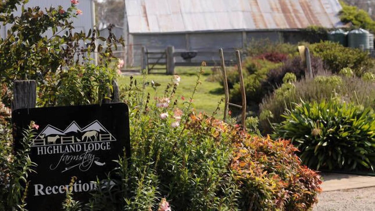 Hill Top Cabin | Family friendly farm retreat, only 10 mins from Jindabyne
