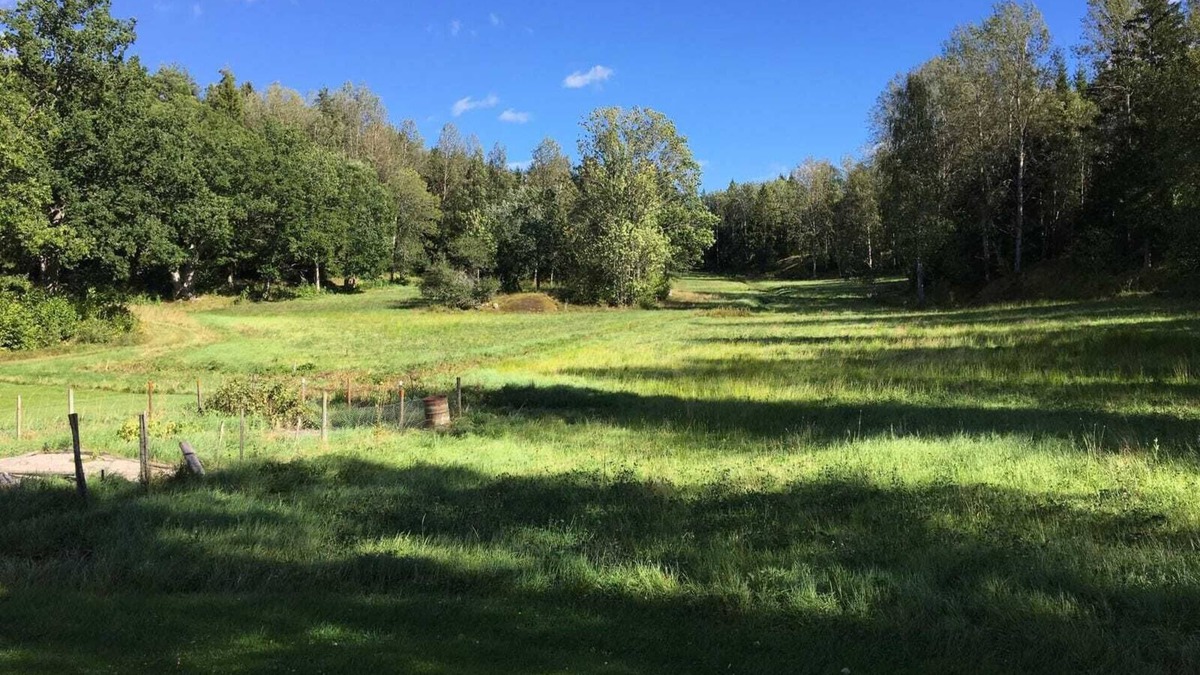 Sodersvik House | Family friendly house with all facilities, private, close to sea, fields, forest