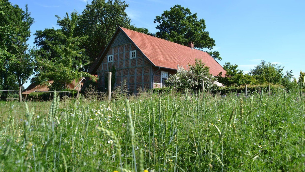 Badbergen House | family friendly, pets allowed, spacious garden, solid wood furniture