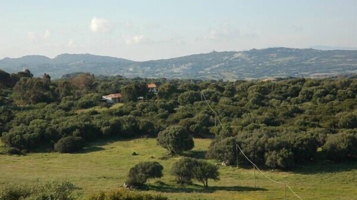Luogosanto House | Family friendly surroundings, 3,5 ha to discover
