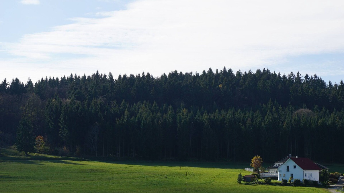 Obernheim House | Family-friendly vacation home, overnight price from 130 Euro, AlbCard free of charge
