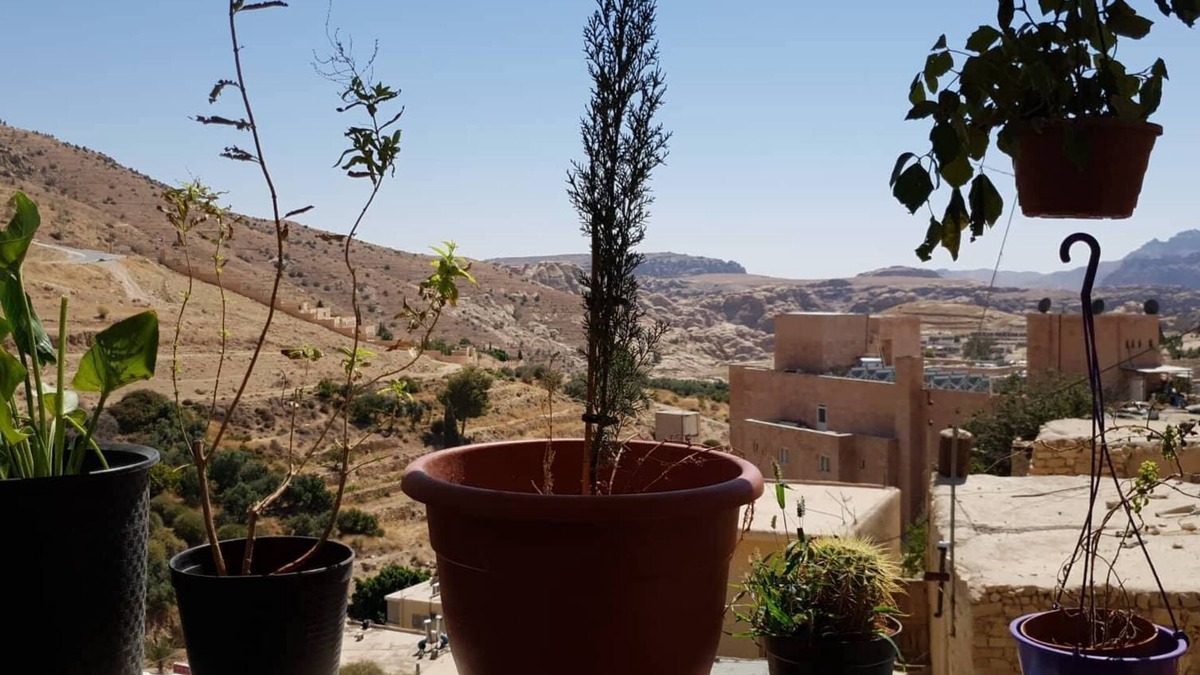 Wadi Musa House | Family home in Petra, Live Petra like a local!