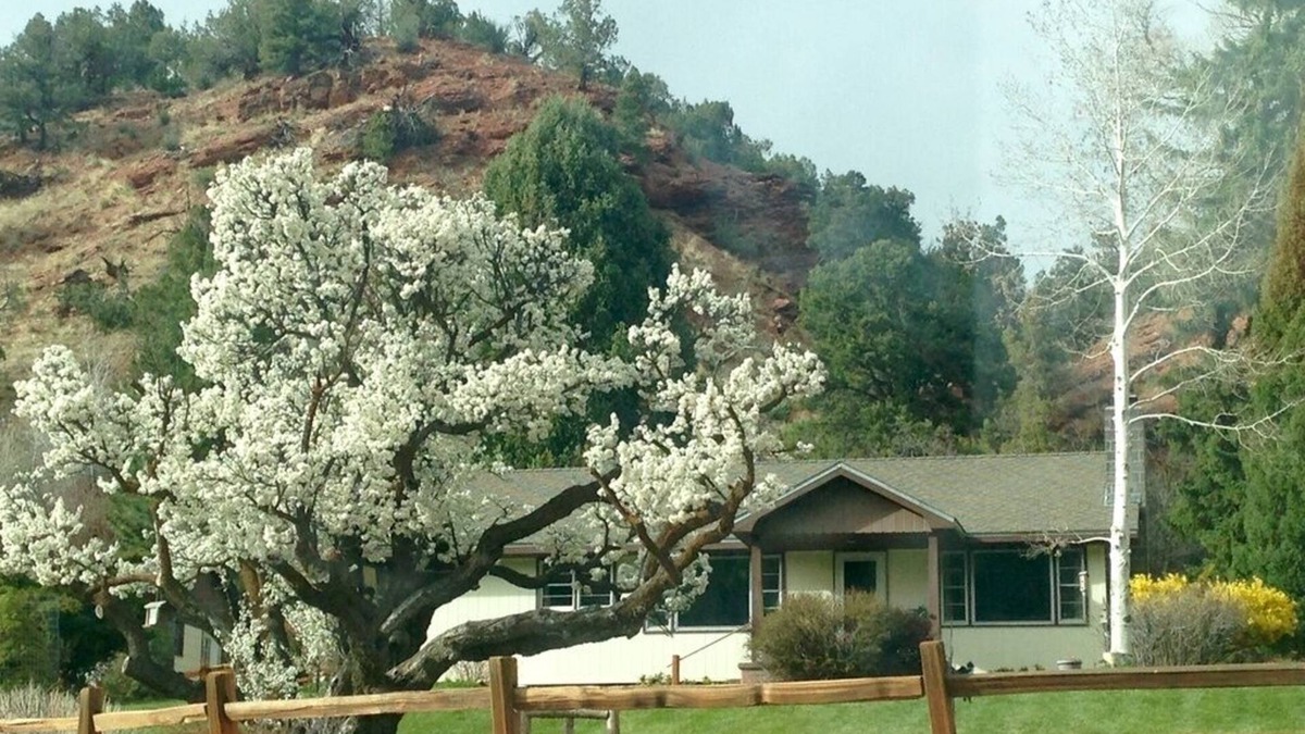 New Castle House | Family/Lrg Groups/King Bed/420/Hike/Bike/Ski/Raft/Firepit/Mountain Views