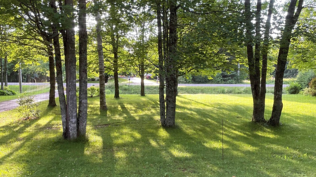 Meadowbank House | Family retreat close to Charlottetown