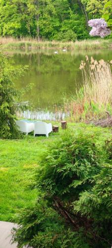 Moara Vlasiei House | Family Villa Lake View