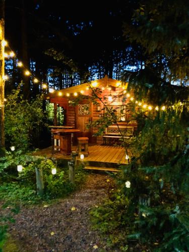 Hayward House | Fancy Fireflies Cabin