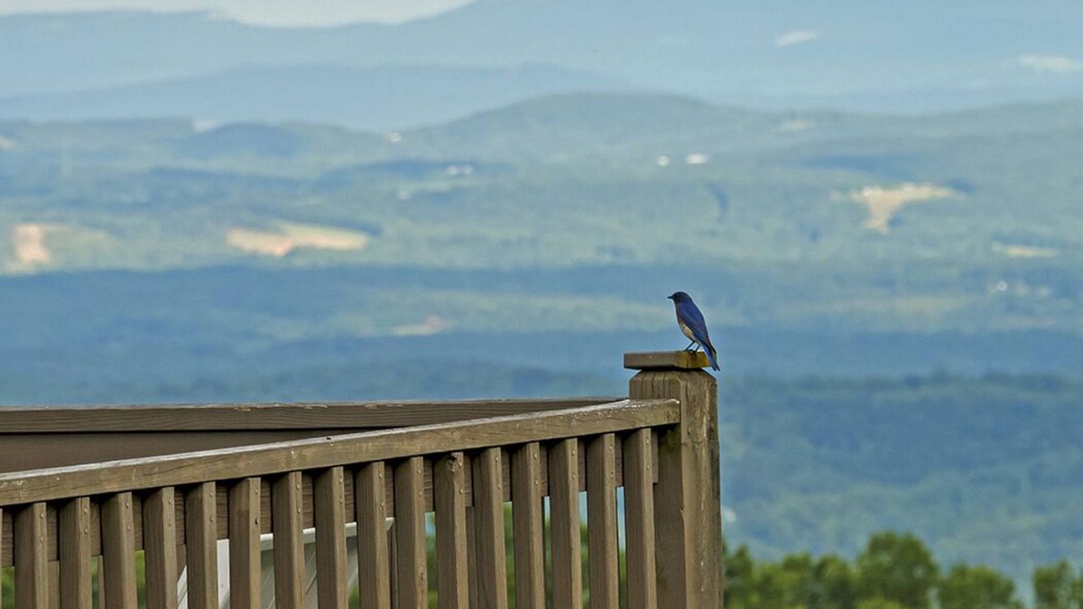Fancy Gap Cabin | Fancy Gap Va overlooking Pilot Mountain, fantastic seven county views. Amazing