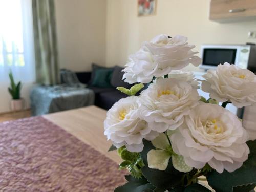 Tiszakecske Apartment | Fanni Villa Tiszakécske