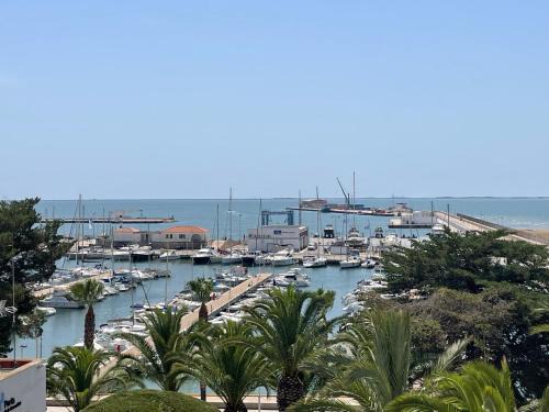 Sant Carles de la Rapita Apartment | Fantástico apartamento a primera línea de mar en la Ràpita