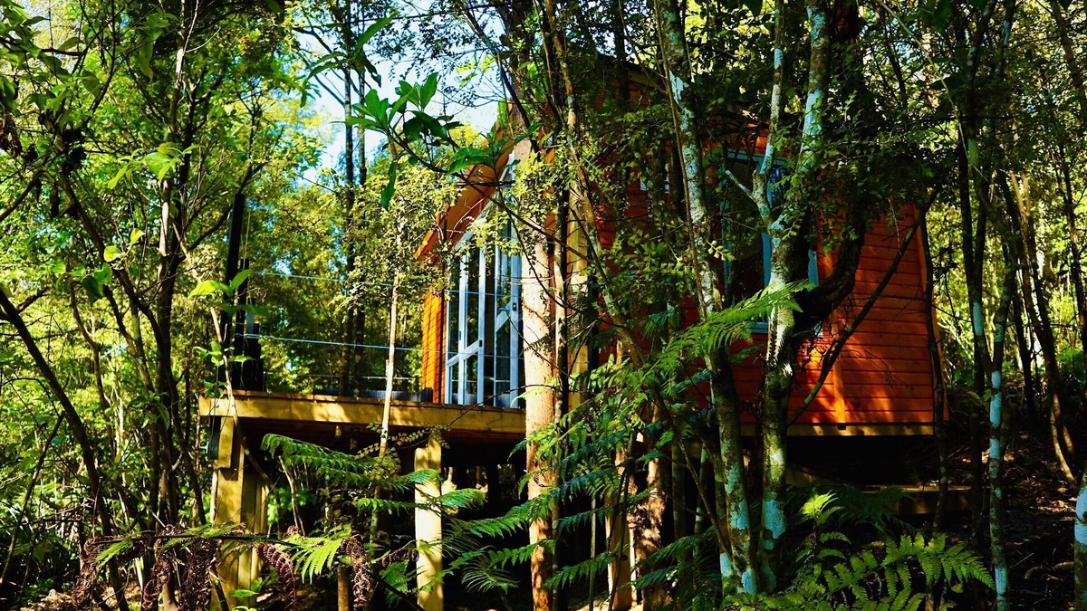 Wainui Ski Chalet | Fantail Bush Chalet, bush and golf on your doorstep!