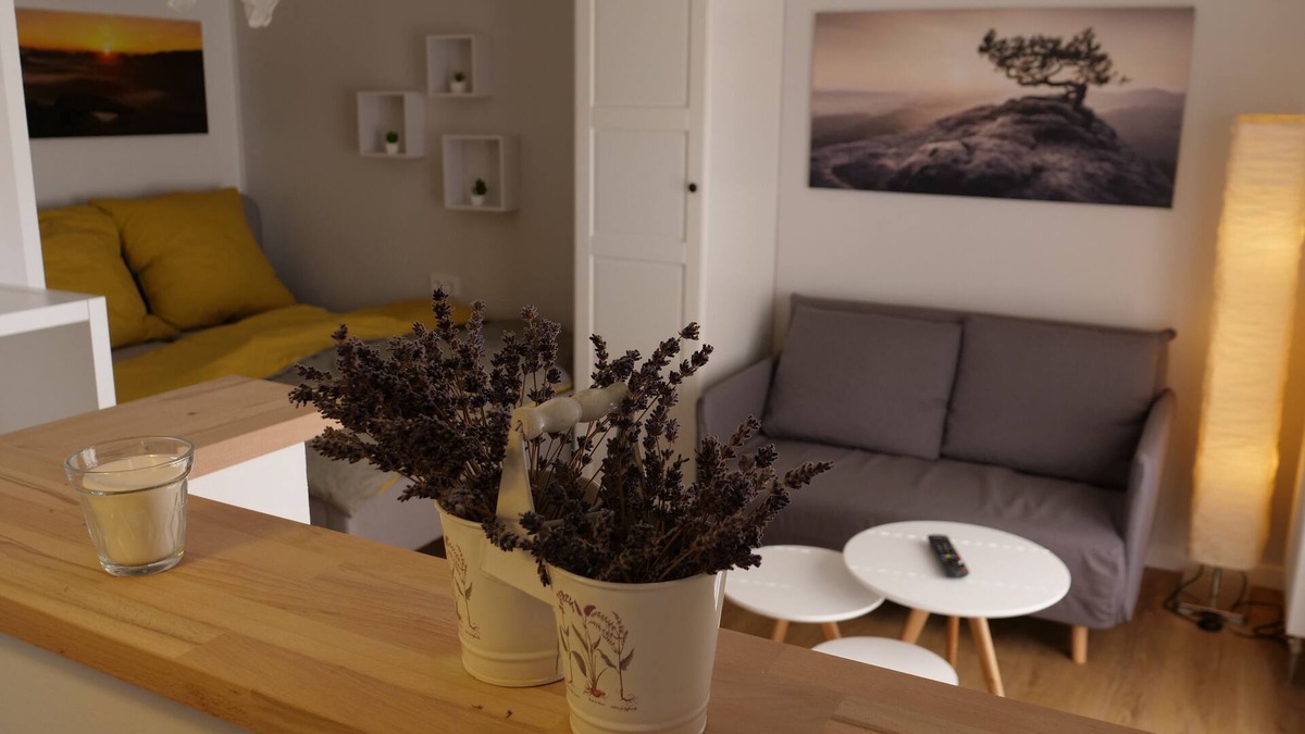 Pirna Apartment | Fantastic apartment in a prime location near Dresden at the gateway to Saxon Switzerland