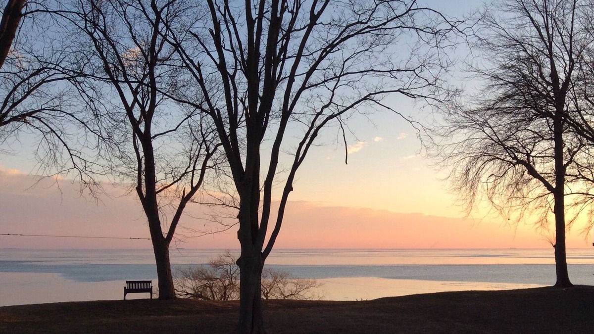 Town of Essex Cottage | Fantastic Lake View! Quiet, Clean w/Deck, BBQ & Fire pit* Walk to 3 Wineries