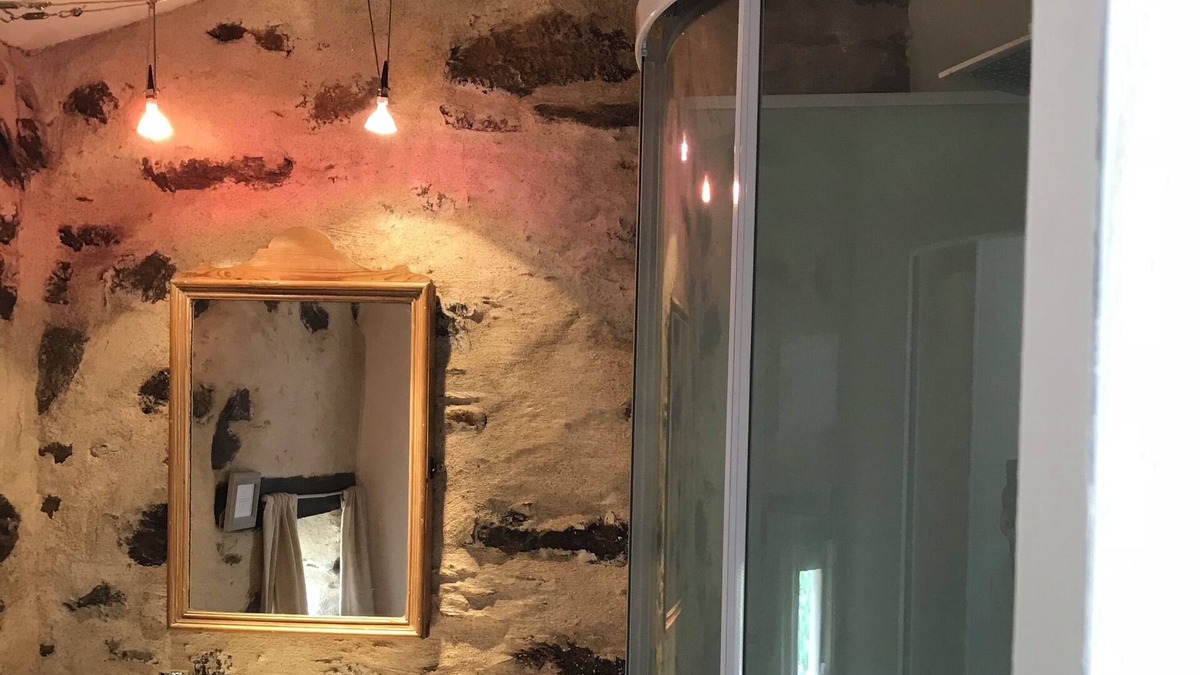 Cheffois Other | Fantastic Farm house - close to Puy du Fou