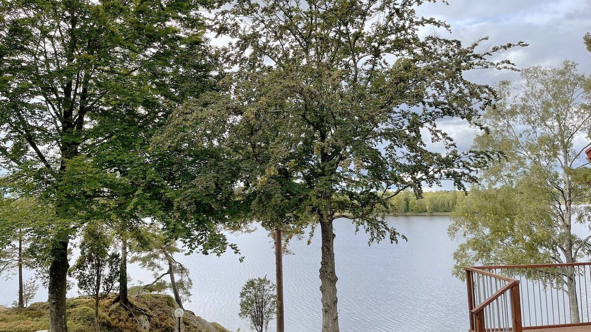 Stavsjo Ski Chalet | Fantastic holiday home with own lake plot by Bolmen, Ljungby | SE06053