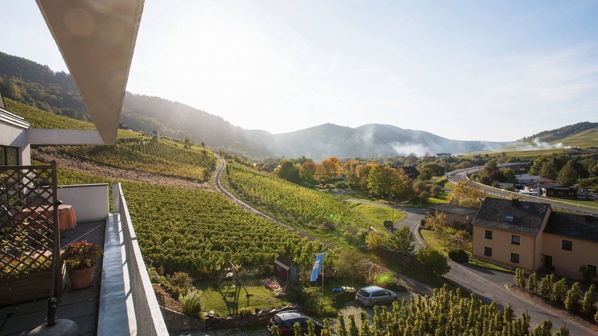 Senheim Apartment | Fantastic Mosel view from the apartment "Pinot Noir Cabinet", near Cochem