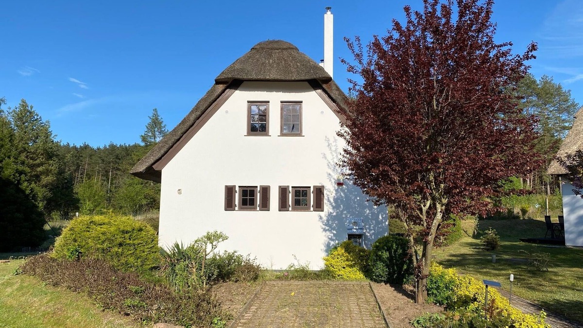 Wiselka House | Fantastic thatched house on the edge of the forest