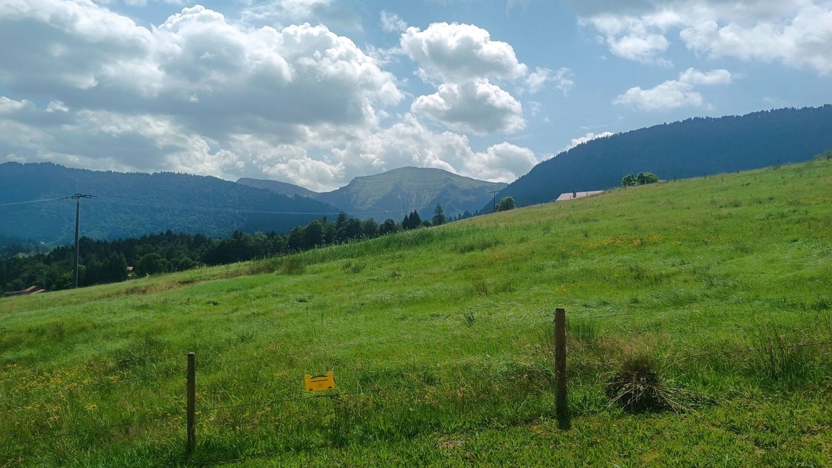 Steibis Apartment | Fantastic view in a quiet location