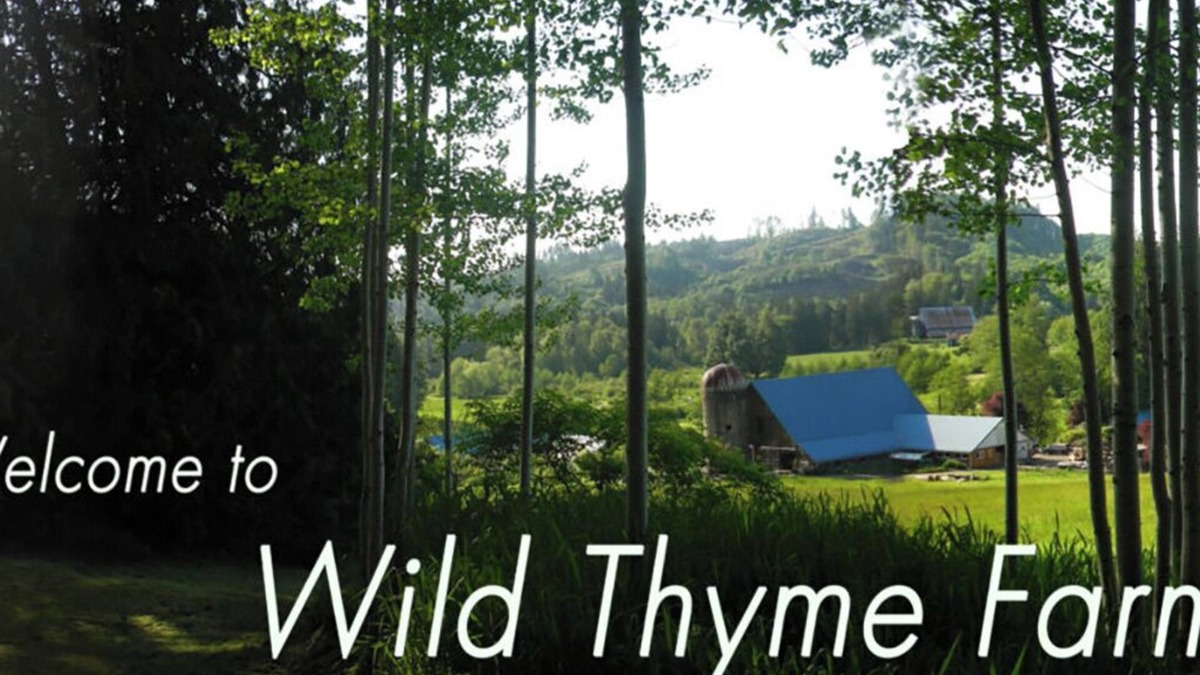Oakville Other | Farm and Forest Eco-Retreat Sanctuary Wild Thyme Farm