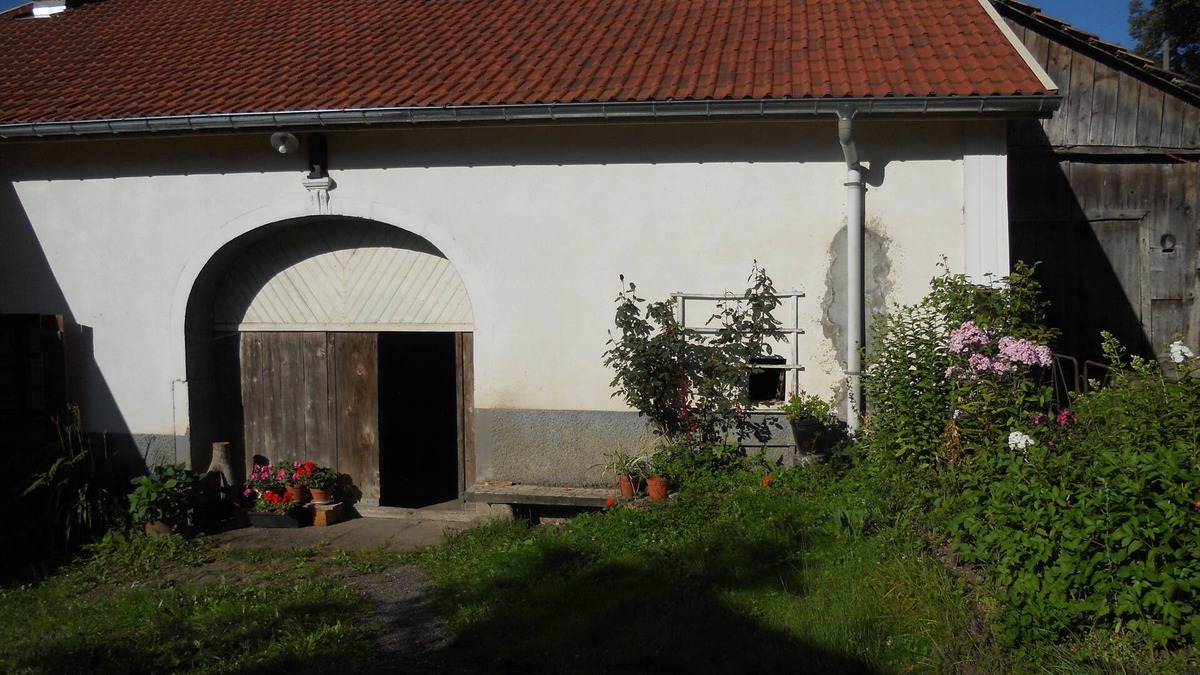 Miellin Other | farm "at the grandmother's" very quiet with our ponies