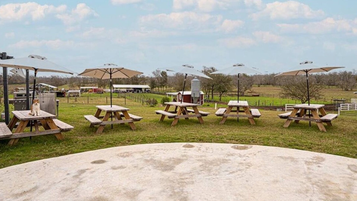 Lissie House | Farm experience and group getaway at Pazific Ranch