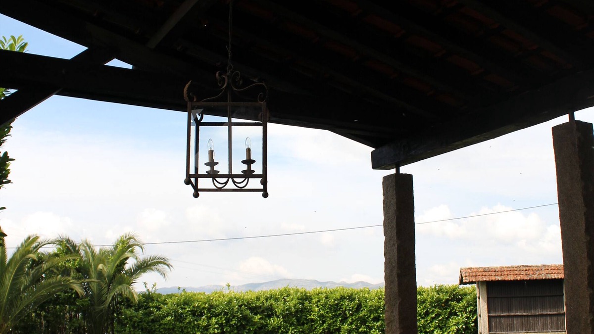 Oliveira de Frades Other | Farm for Holidays - Nature and Gastronomy with Private Pool and River Beach
