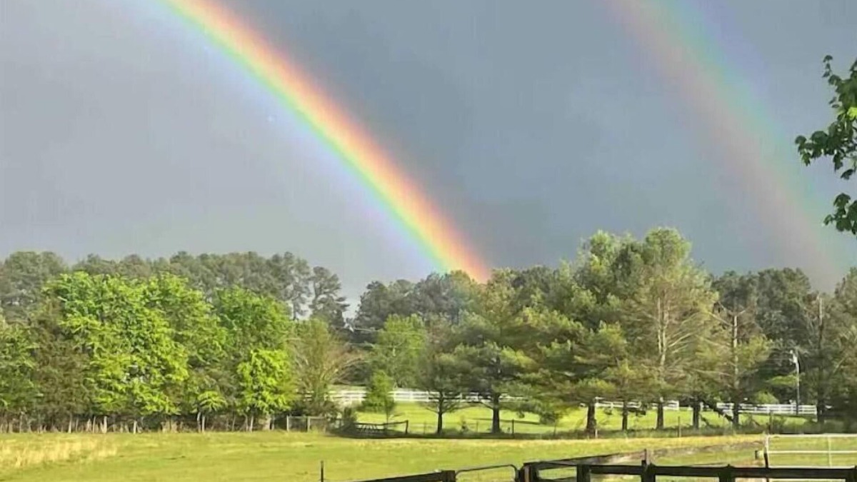 Pittsboro Apartment | Farm House Garden Apartment, peaceful vibe and views.