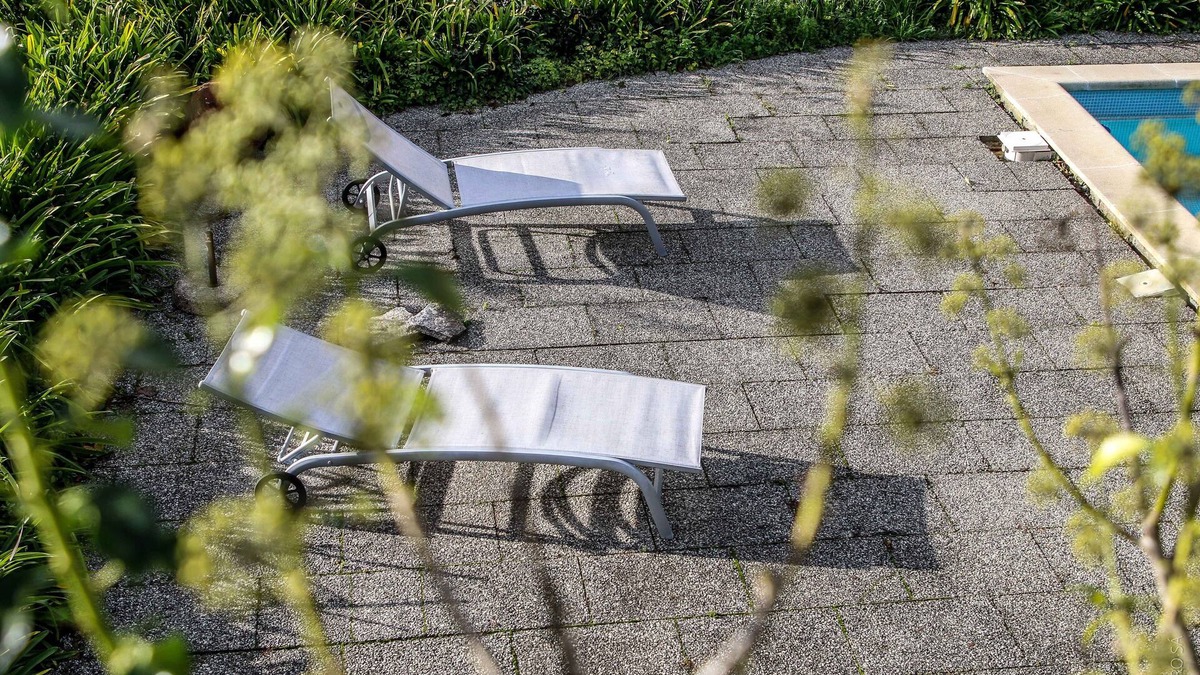 Travanca House | Farm In the middle of nature